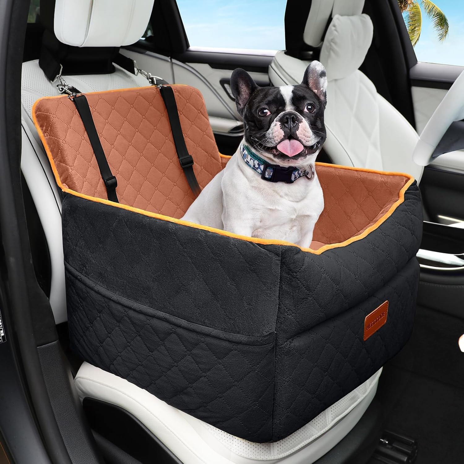 Small Dog Car Seat (HEGGCOOE)