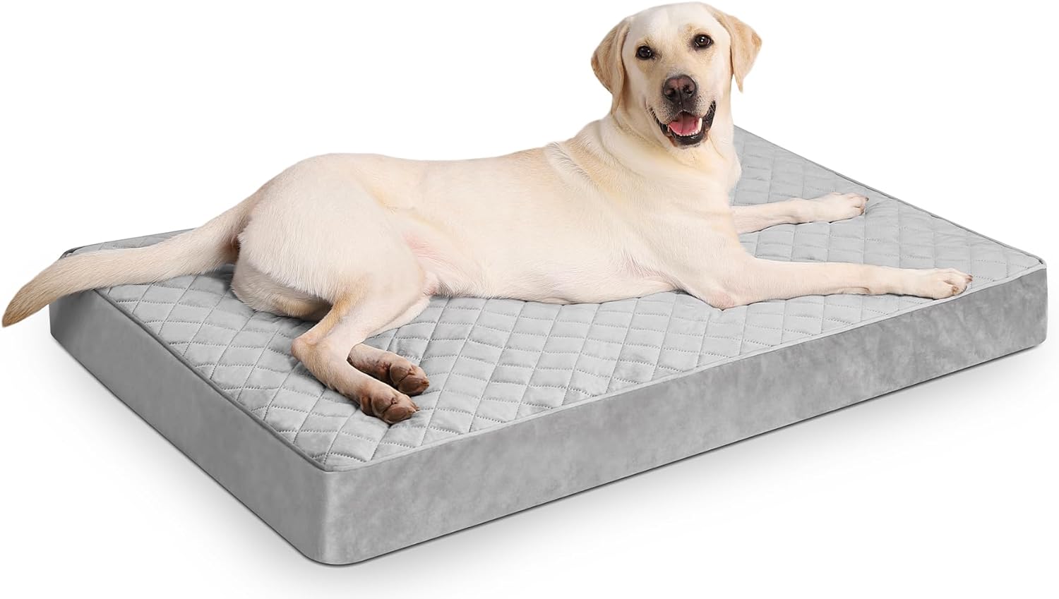 Orthopedic Dog Bed (NUPIDA)