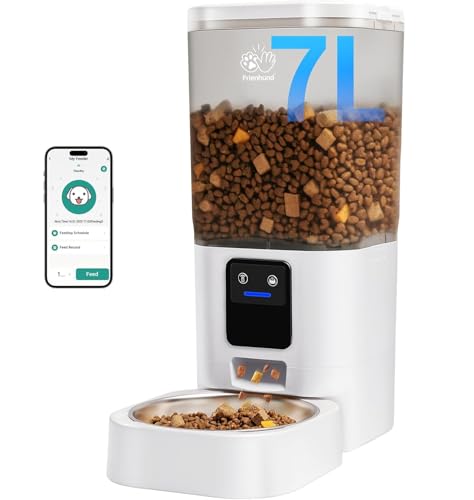 How to Set Up a Portable Feeding Station for Multiple Dogs When Hosting Holiday Guests (2026)