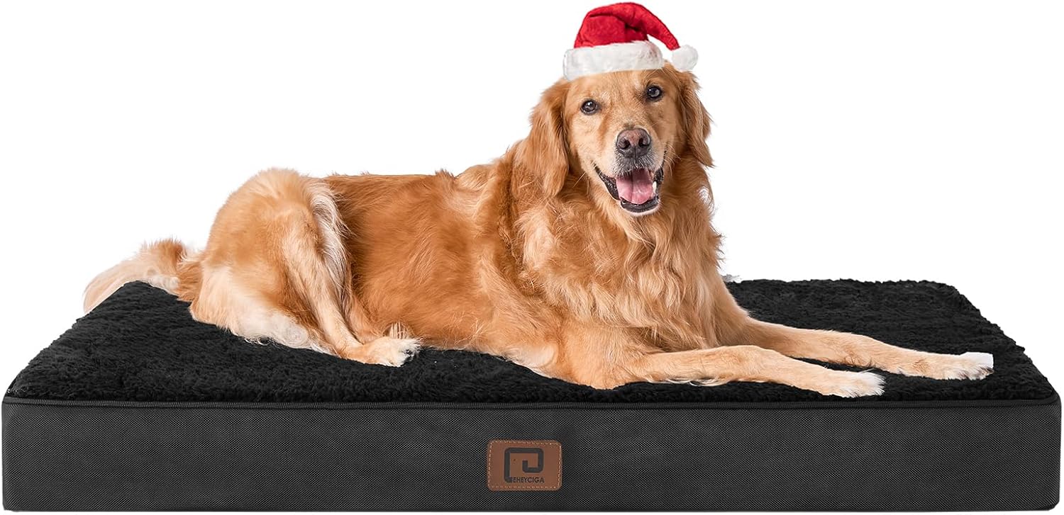 Best Machine-Washable Dog Beds for Allergy Sufferers (2026)