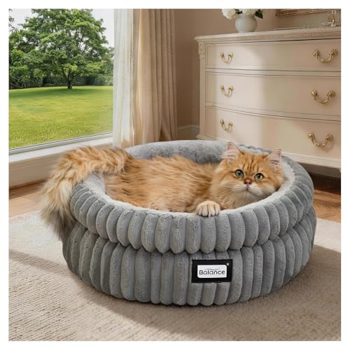 BALANCE Cat Bed Kitten Bed