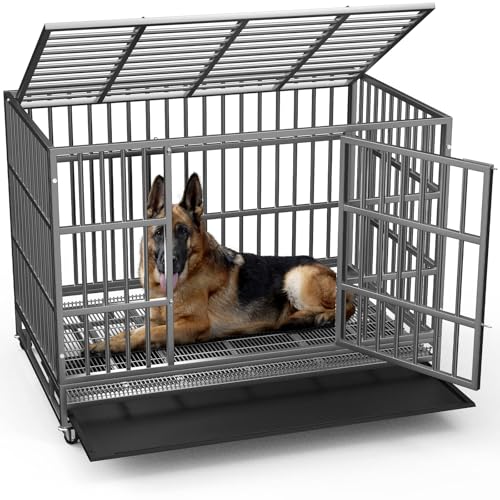 How to Make an Outdoor Kennel Escape-Proof and Shaded (2026)