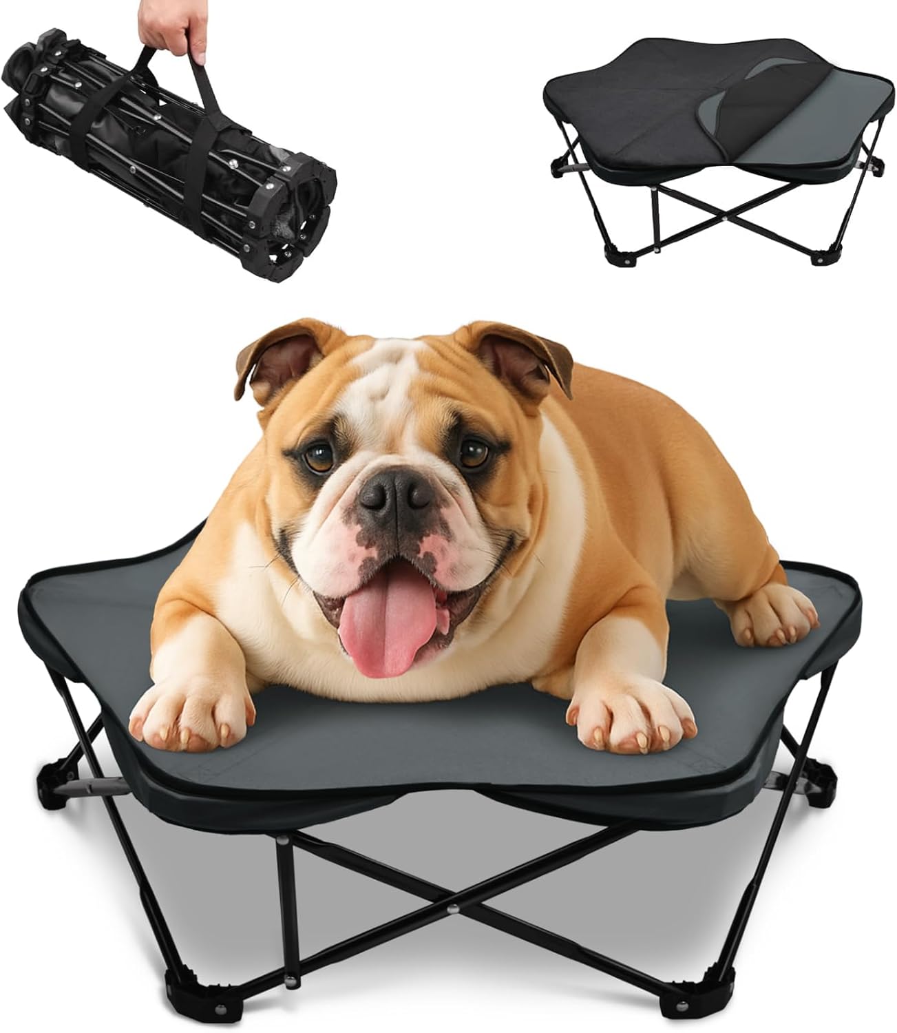 Pozico Small Elevated Dog Bed