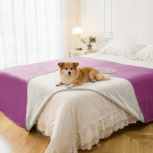 Best Fast‑Dry Machine‑Washable Dog Beds (2026 Guide)