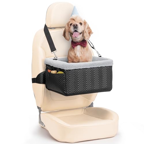 Best Backseat Booster Beds for Senior Small Dogs (2026)