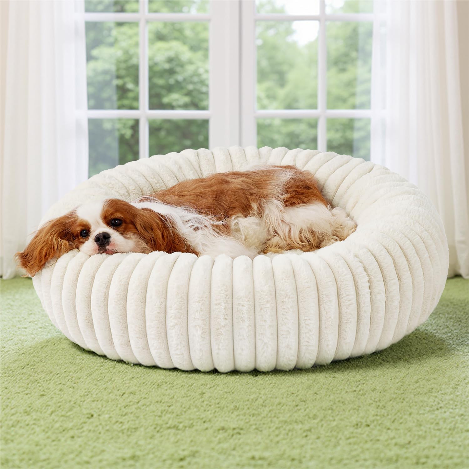 Bedsure Donut Medium Dog Bed