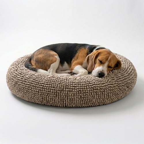 How to Prevent Dog Beds From Getting Muddy in Fall (2026)