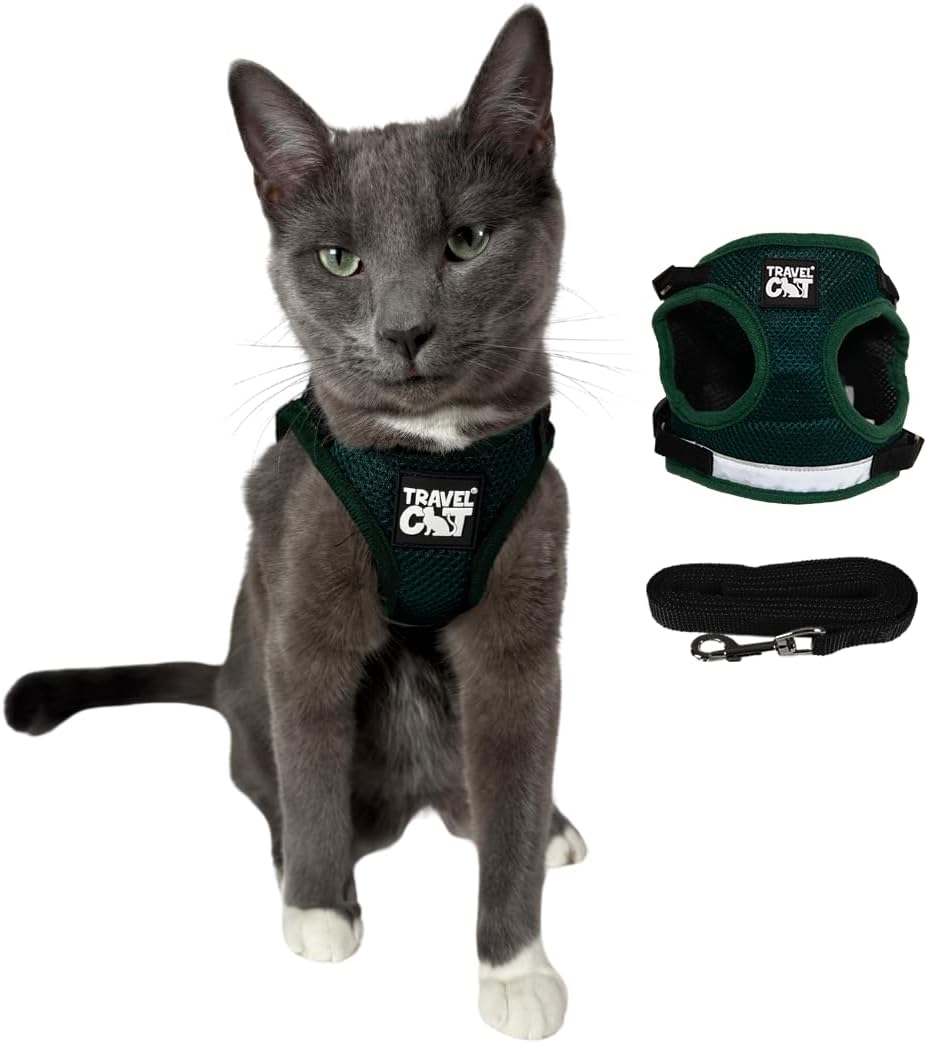 Travel Cat The Emerald Explorer (Large)
