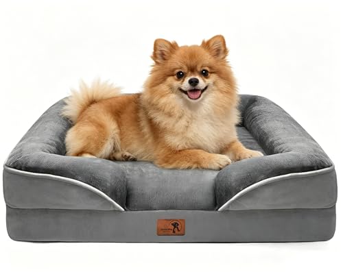 Complete Sofa Protection & Dog Bed Mat Setup for Holiday Renovations (2026)