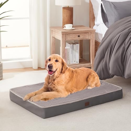 Best Machine-Washable Crate Covers for Busy Households (2026)