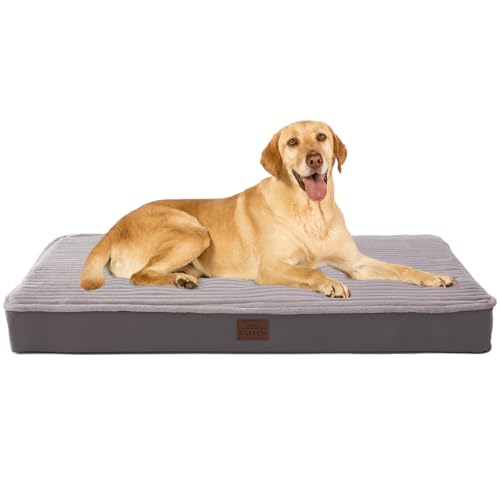 Laojin Balhen 40x28 Orthopedic Bed
