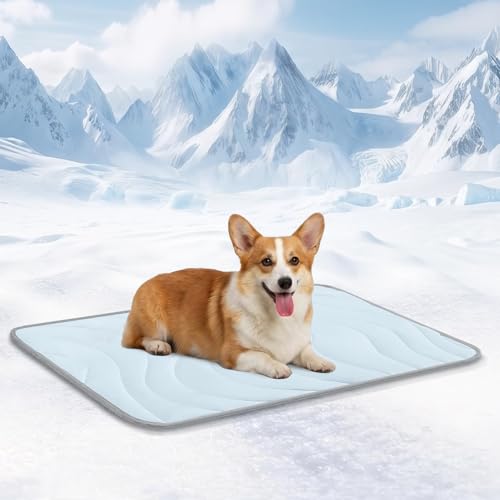 Cozyide 36" x 23" Reversible Cooling Mat