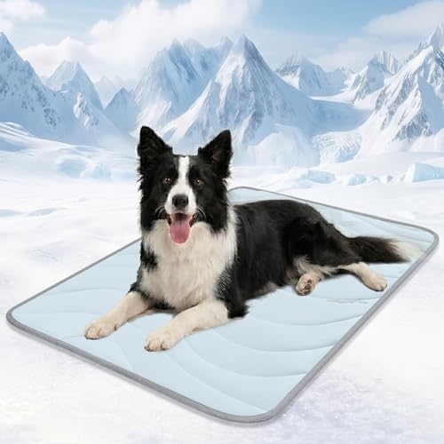 Cozyide 40" x 28" Reversible Cooling Pad