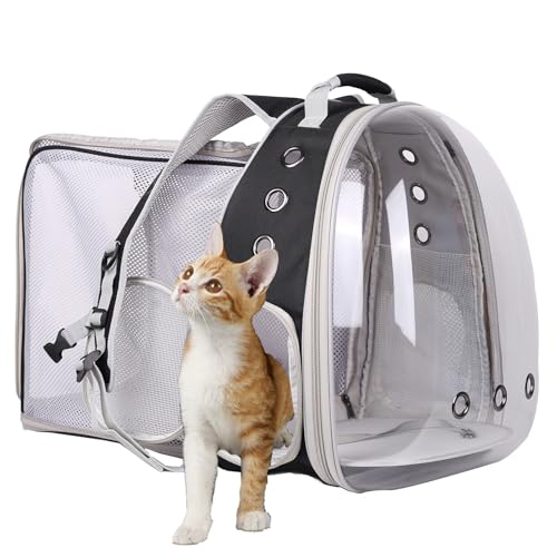 halinfer Square Back Extension Backpack