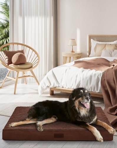 OhGeni Orthopedic 41" Bed