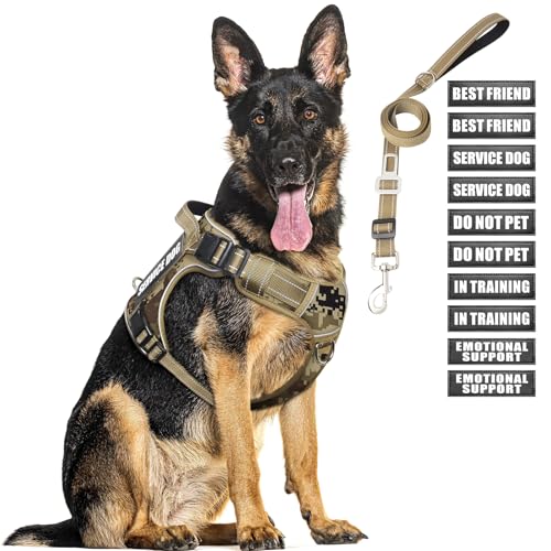 Tactical Dog Harness Set