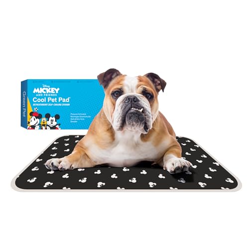 Cool Pet Pad - Mickey & Minnie