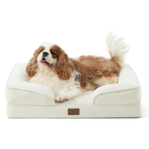 How to Keep Dog Beds Smell-Free in Spring (2026)