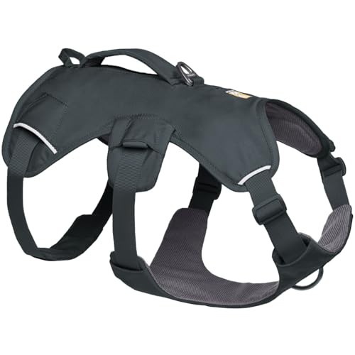 Ruffwear Web Master (Basalt Gray, Medium)
