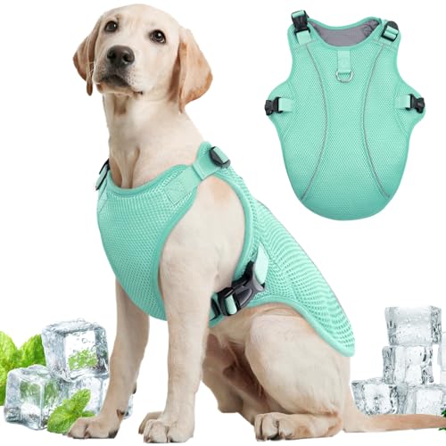 Kuoser Dog Cooling Vest for Large Dogs, Lightweight Doggie Cooler Jacket Breathable Mesh Pet Cooling Shirts Reflective Puppy Cool Harness for Beach, Hiking, Walking Green XXL
