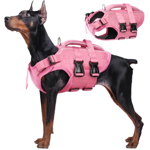 Best Packable Dog Jackets for Spring Travel (2026 Guide)