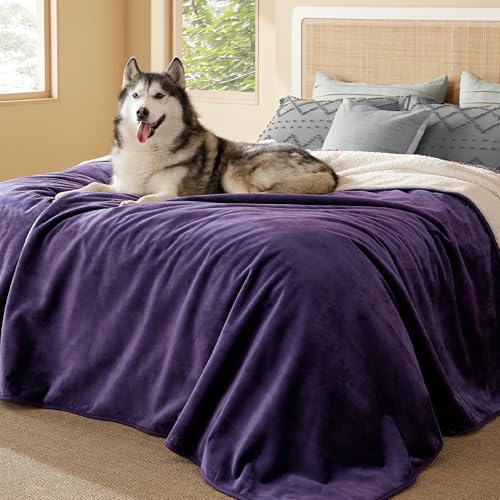 Bedsure Waterproof Blanket (Eggplant)