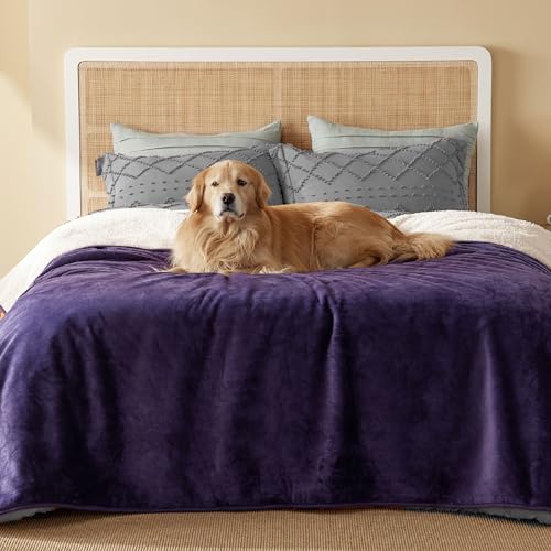 Bedsure Queen Sherpa Waterproof Blanket (Eggplant)