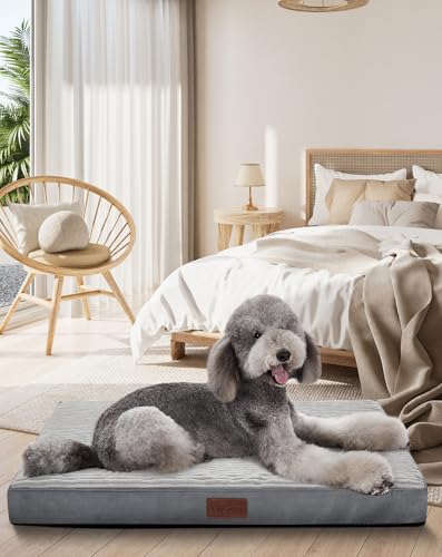 Best Anti-Slip Kennel Covers & Mounts (2026)