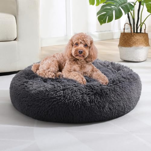 JOLLYVOGUE Donut Bed