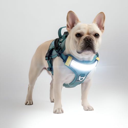 Lumi One LED (Teal Blue, Large)