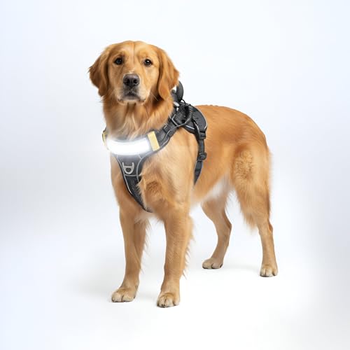 Lumi One LED Dog Harness for Night Visibility and Safety, Patent Pending  High-Visibility Light-Up Dog Vest with 1000 Lumen LED, Rechargeable Battery, Adjustable Fit, Reflective Trim (Black, Medium)