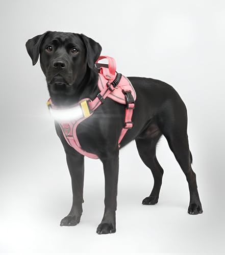 Lumi One LED Dog Harness for Night Visibility and Safety, Patent Pending, Adjustable Dog Harness Rechargeable Harness, Lumen LED Reflective Pet Apparel | Light-Up Dog Vest for Small Dogs (Pink, Small)