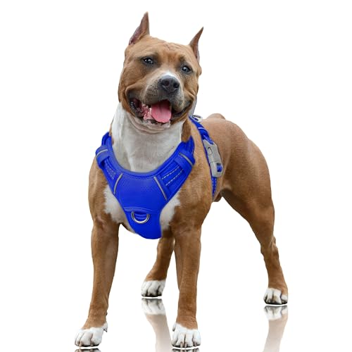 BARKBAY No Pull Dog Harness (L)