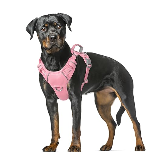 No‑Handle vs Harness with Handle vs Dual‑Clip Harnesses for Fall Hikes (2026)