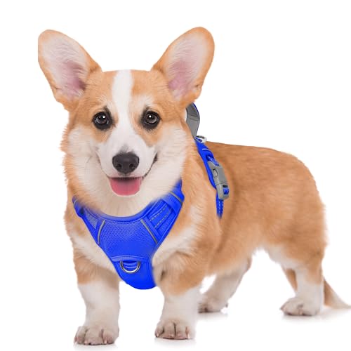 BARKBAY No Pull Harness (Sapphire Blue,M)