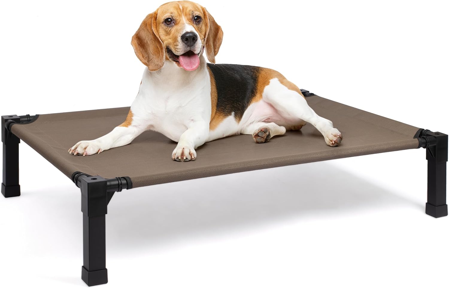Heeyoo Elevated Dog Bed (Budget)