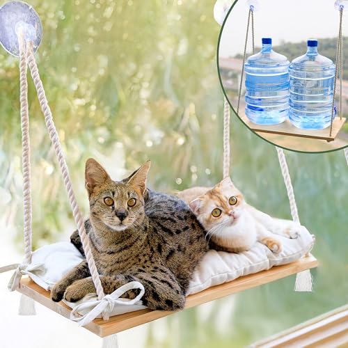 Complete Window-View Cat Perch & Tree Setup for Fall (2026)