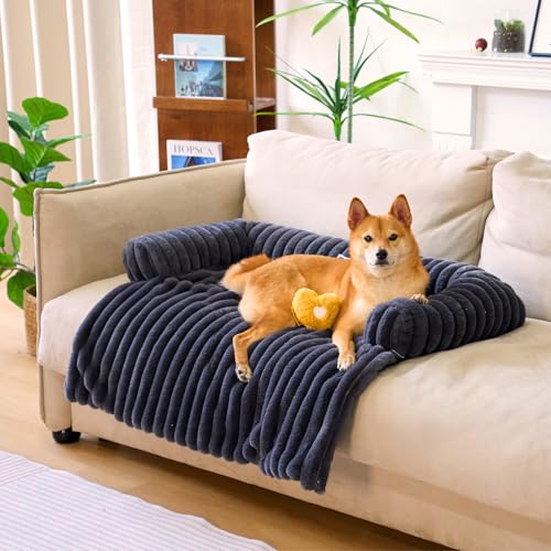 Best Multi-Dog Bed Mats for Shared Sofas (2026)