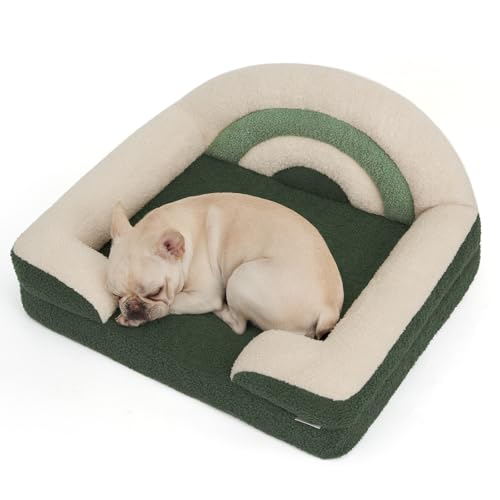 Blissful Diary Foam Dog Bed Medium Size, Pet Sofa with Washable Cover and Waterproof Liner, Soft Teddy Plush with Rainbow Design (Green)
