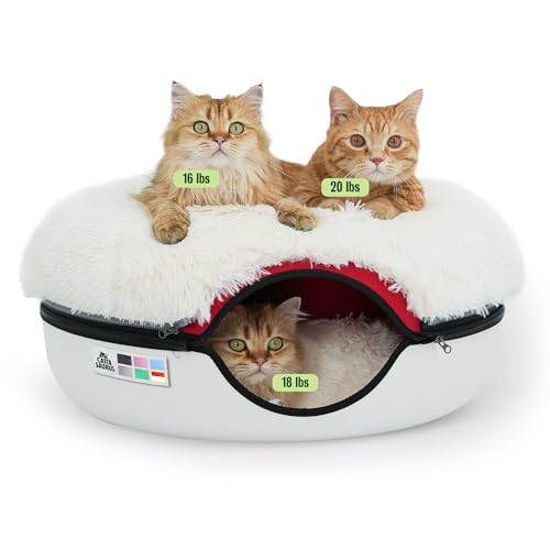 CATTASAURUS Peekaboo Cat Cave (Ruby Snowball)