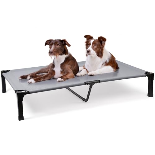 Heeyoo Elevated Dog Bed (Premium)