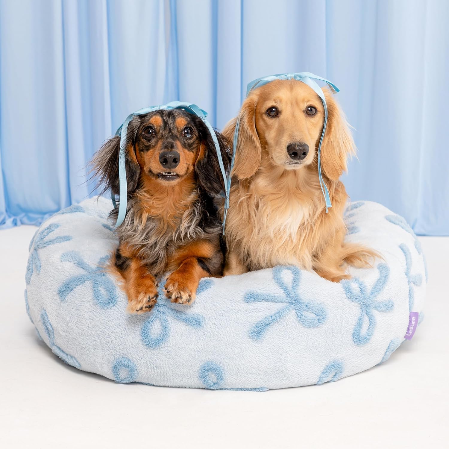 Best Waterproof Dog Beds for Porch & Patio (2026)