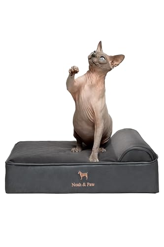 NOAH & PAW Small Dog Bed (Budget Pick)