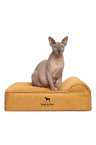 NOAH & PAW Small Dog Bed, 20x15x6.5 Inch, Cat Bed for Indoor Cats, Orthopedic Eggshell Memory Foam Infused with Cooling Gel, Waterproof, Machine Washable, Includes Inner Cover (Faux Leather)