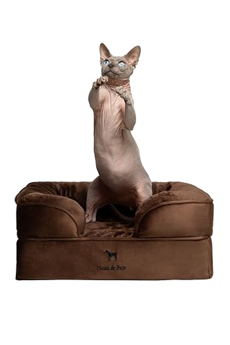 NOAH & PAW Cooling Foam Bed