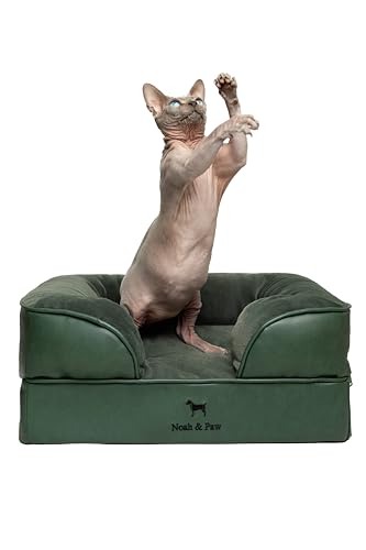 NOAH & PAW Small 20x15x8