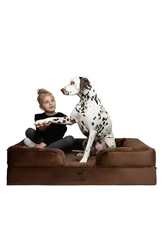 NOAH & PAW XL Dog Bed (Velvet Sofa)
