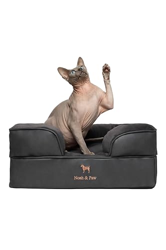 NOAH & PAW Small Dog Bed, 20x15x8 Inch, Cat Bed for Indoor Cats, Orthopedic Eggshell Memory Foam Infused with Cooling Gel, Waterproof Inner Cover Machine Washable (Faux Leather Collection)