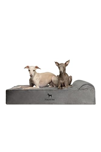NOAH & PAW — 6" Gel-Infused Orthopedic