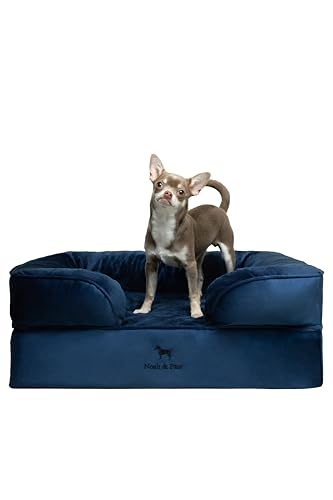 NOAH & PAW Orthopedic 28x23x11